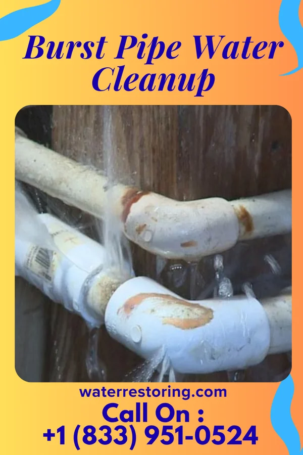 Burst Pipe Water Cleanup in Colony, AL