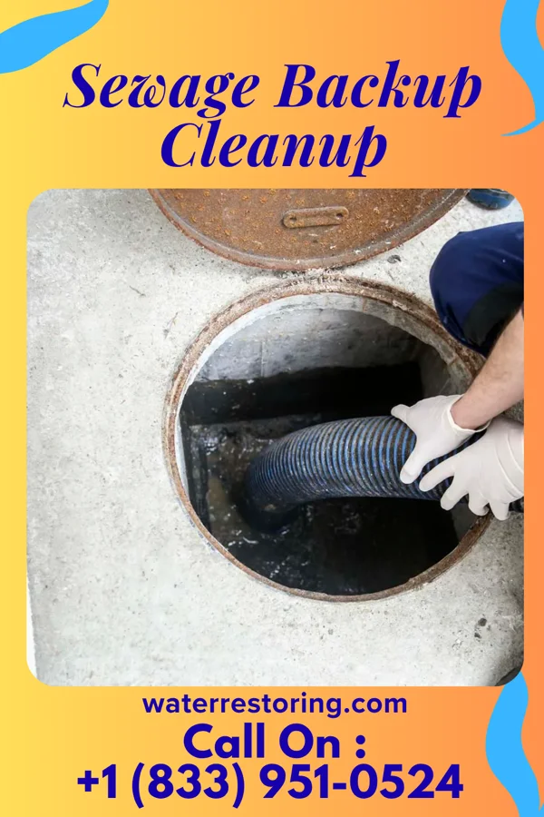 Sewage Backup Cleanup in Colony, AL